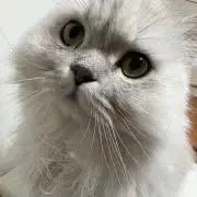 monの画像