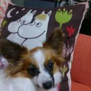 リりぃ