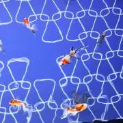 マッキーの画像