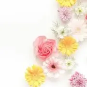 Manaの画像
