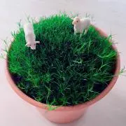 きー坊