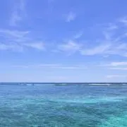 Yuusukeの画像