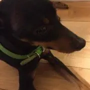 あっちの画像