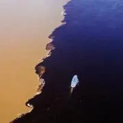 ローズマリー ✳︎プロフ必読✳︎の画像