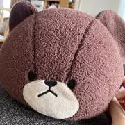 ノースイーグル・美品〗ワカサギヘキサゴンドームテント - メルカリ