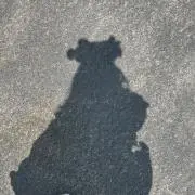 かりんとうの画像