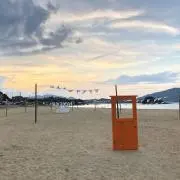 モリの画像