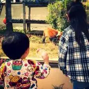 kma89の画像