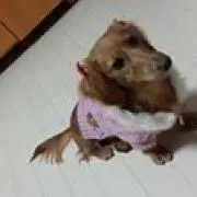 ラムちゃん