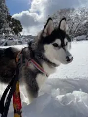 monの画像