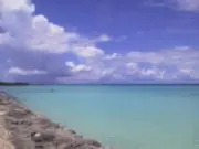 むきたまごの画像