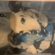 スナッチの画像