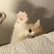 うさ