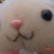 mocoの画像