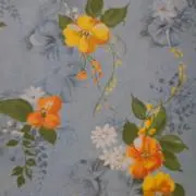 ナッツの画像