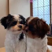 ペコちゃん(*^^*)値下げします♪