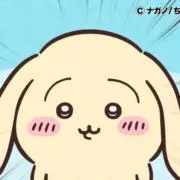 n♡断捨離の画像