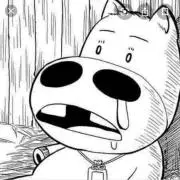 Image of マキバおー