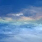 値下げ不可