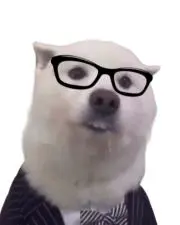 まるかず