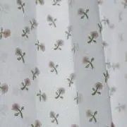 momongaの画像