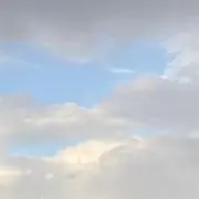 merの画像