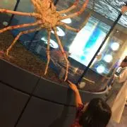 kkhママ