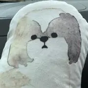 かなこの画像