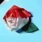 あっし.:*プロフ必読の画像