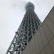 みかんちゃん