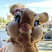 MissBunnyの画像