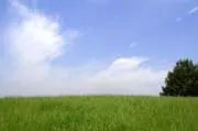 あおい