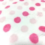 にじうさの画像
