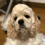MAKIの画像