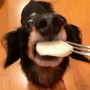 よよよ