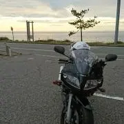 くまもんの画像