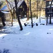 しん