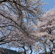 Junの画像