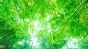何かあればコメント下さいの画像