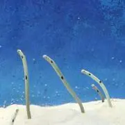 よねっこ