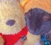 あおちゃん