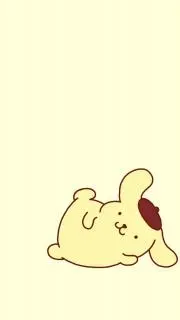 ぽむちゃんの画像