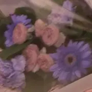 ayaの画像