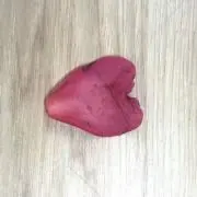 あーにゃの画像