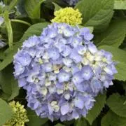 すまいる❤︎プロフィール必読お願いしますの画像