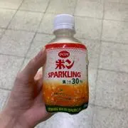 ポン