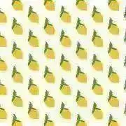 cocoの画像