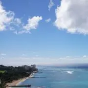 azukiの画像