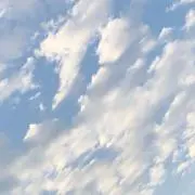 るの画像