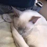 りょう